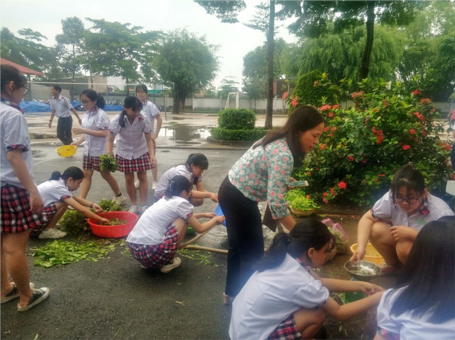 Nhấn vào ảnh để phóng to